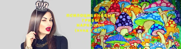 ешки Нефтекумск