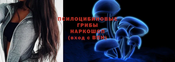 ешки Нефтекумск