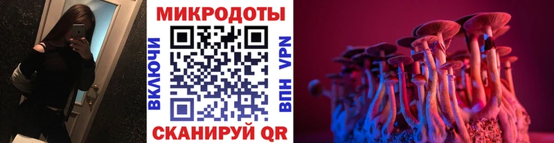Псилоцибиновые грибы Magic Shrooms  hydra ССЫЛКА  Козловка  где купить наркоту 